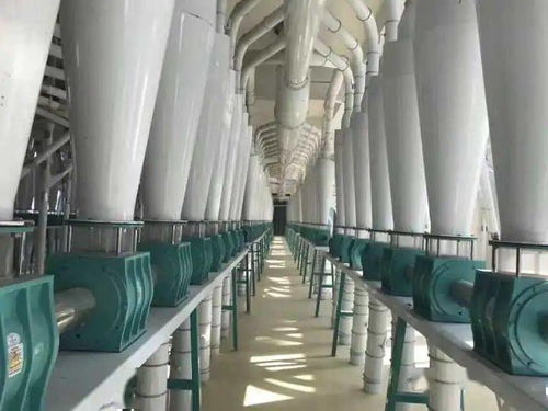 河套面粉蒙廚、蒙雪花、巴蒙久星系列全國招商暨軟件開發合作伙伴招募